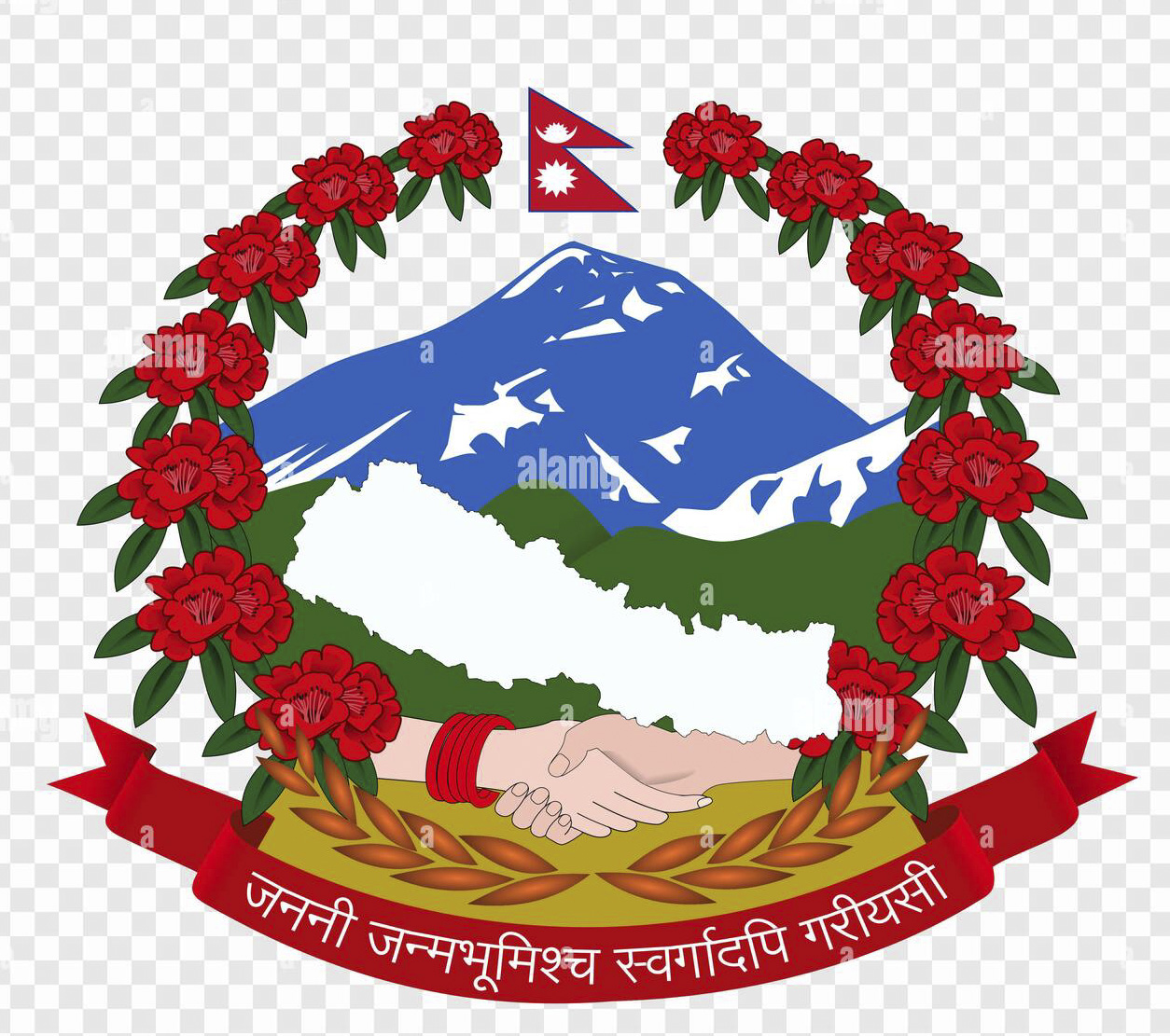 Information Officer